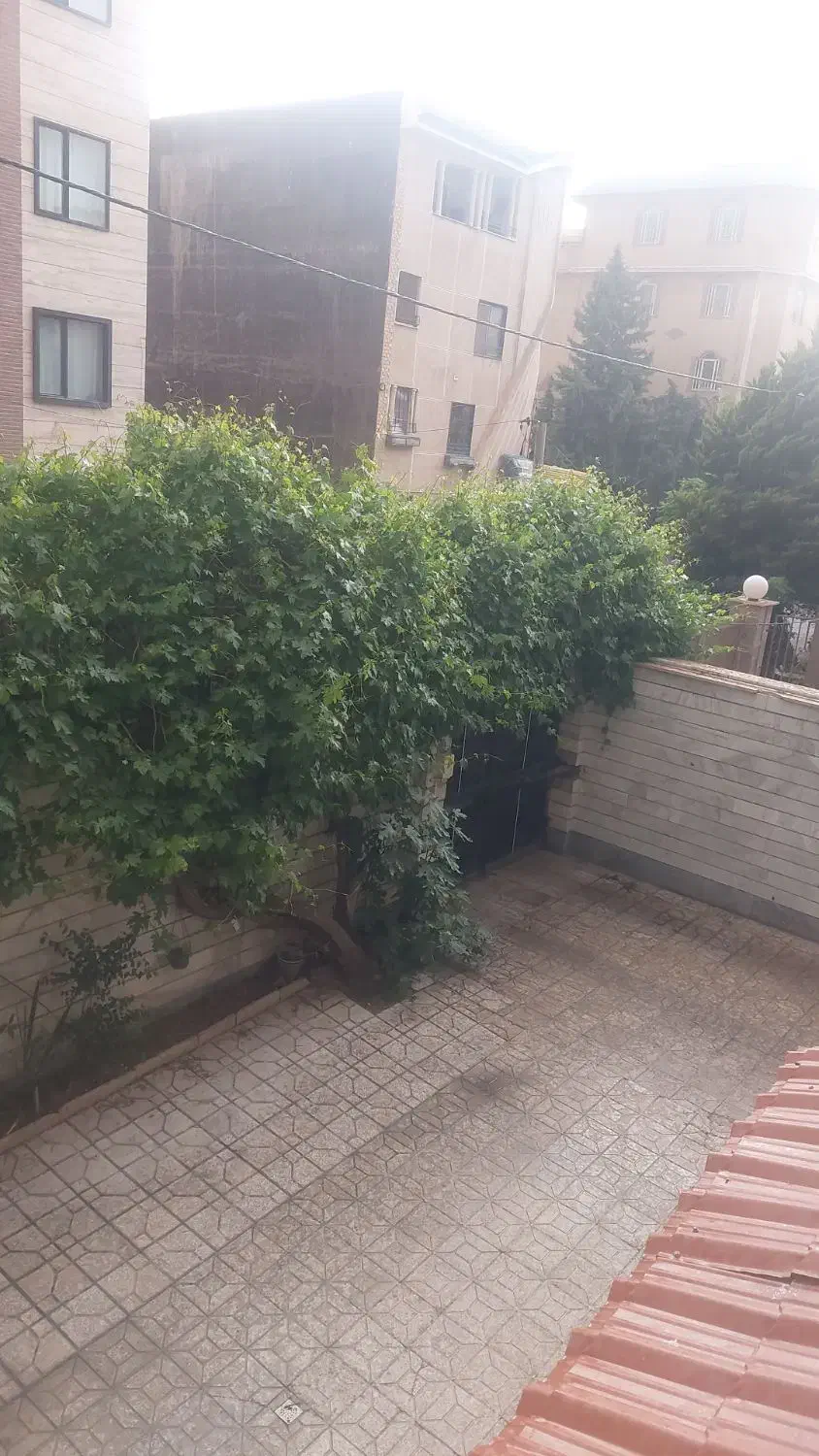 هم خونه
