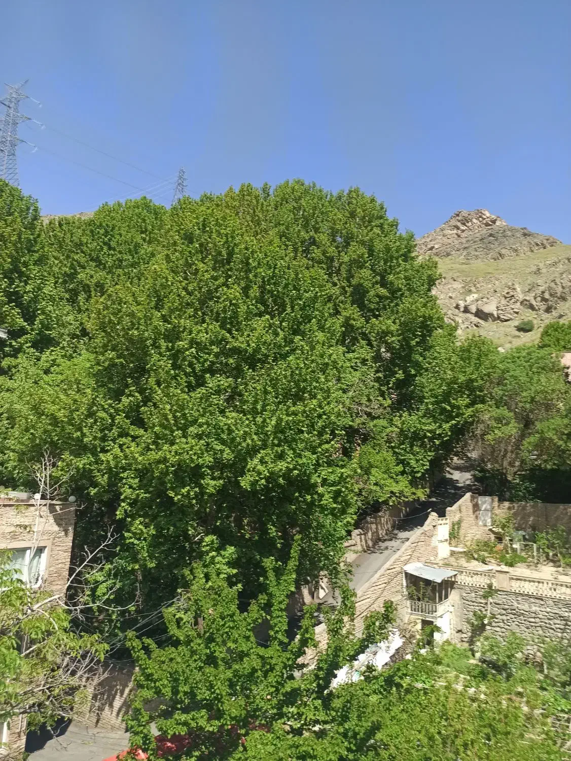 فروش یک واحد آپارتمانی