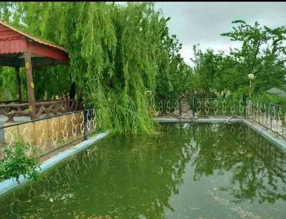 باغ،زمین،معاوضه،توافقی