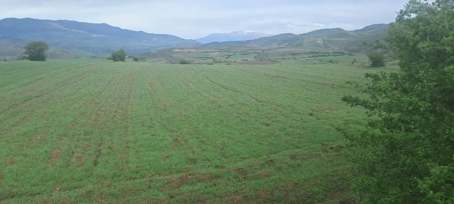 زمین زراعی کشاورزی