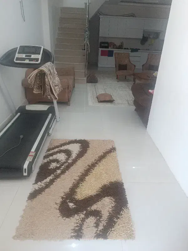 هم خانه خانم