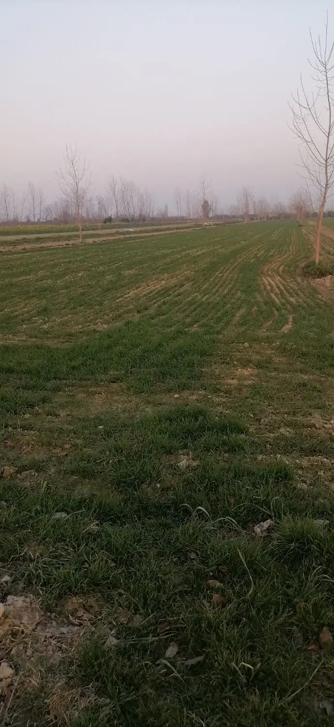 زمین زراعتی درروستای کارکنده