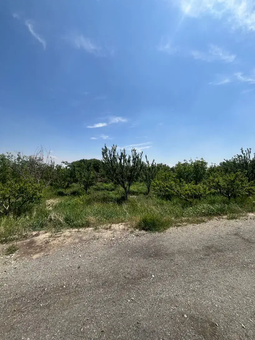 فروش باغچه ۷۷۰ متری زرنان