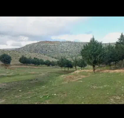 زمین‌‌‌کشاورزی‌میخام.شراکتی