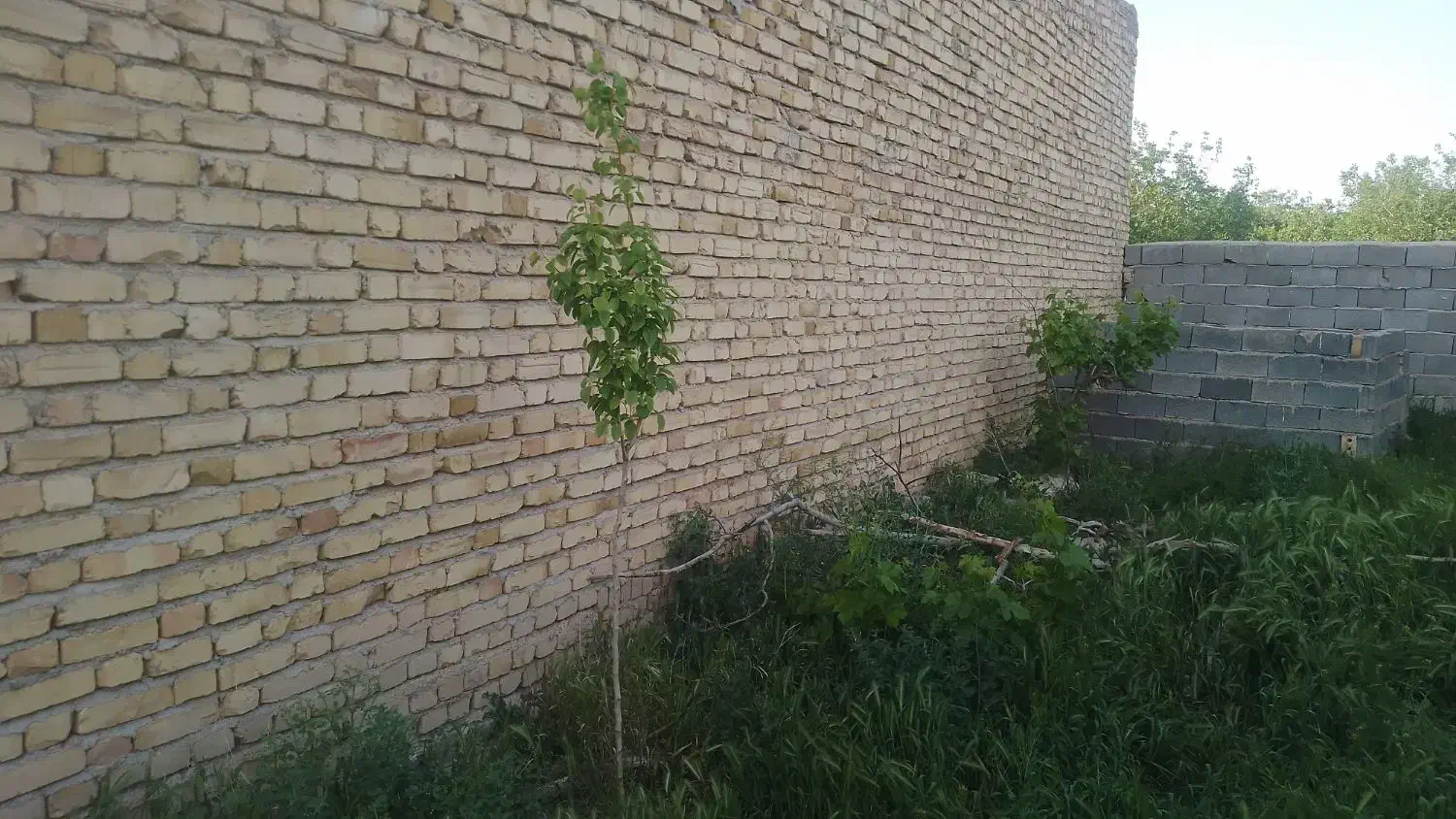 خانه باغ در بافت مسکونی
