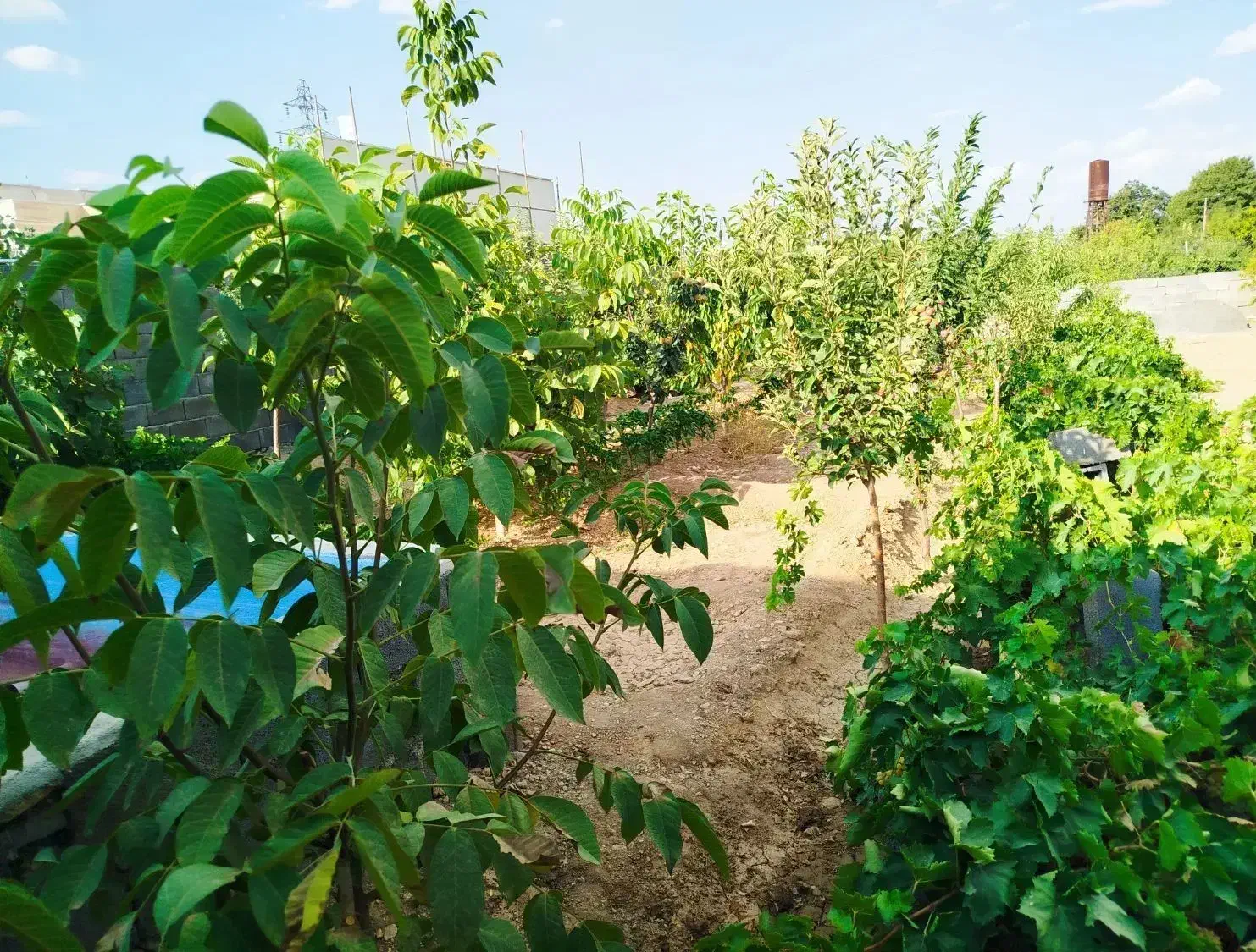 زمین میدان نماز