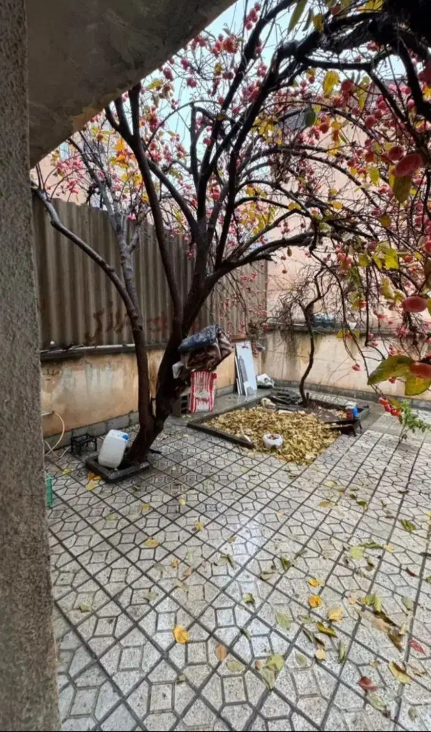 زمین آبی با قابلیت پرورش ماهی.باغی و...