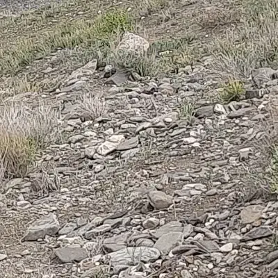 فروش زمین