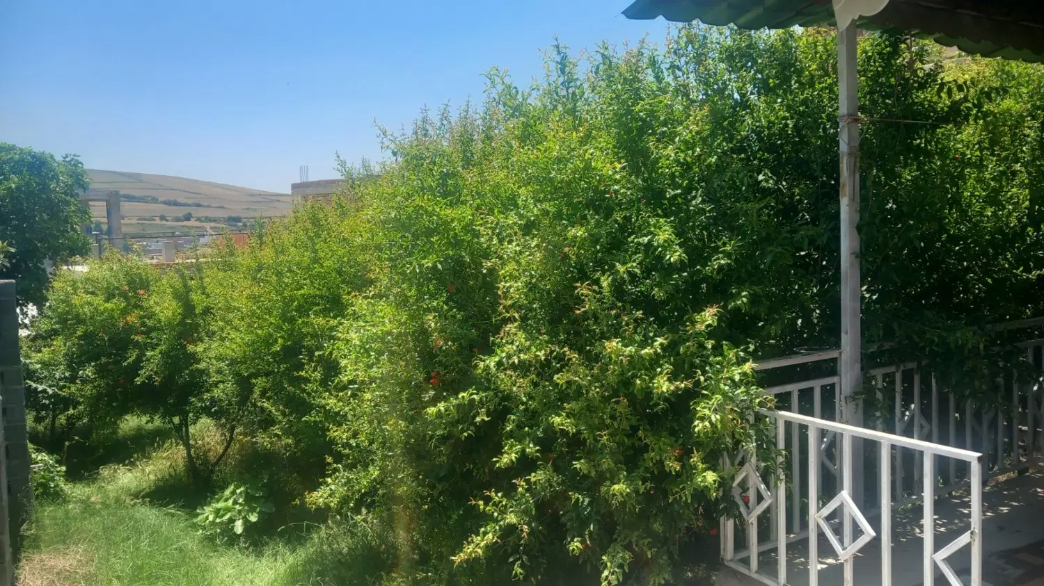 ویلایی  باغ انار در روستای قلی تپه