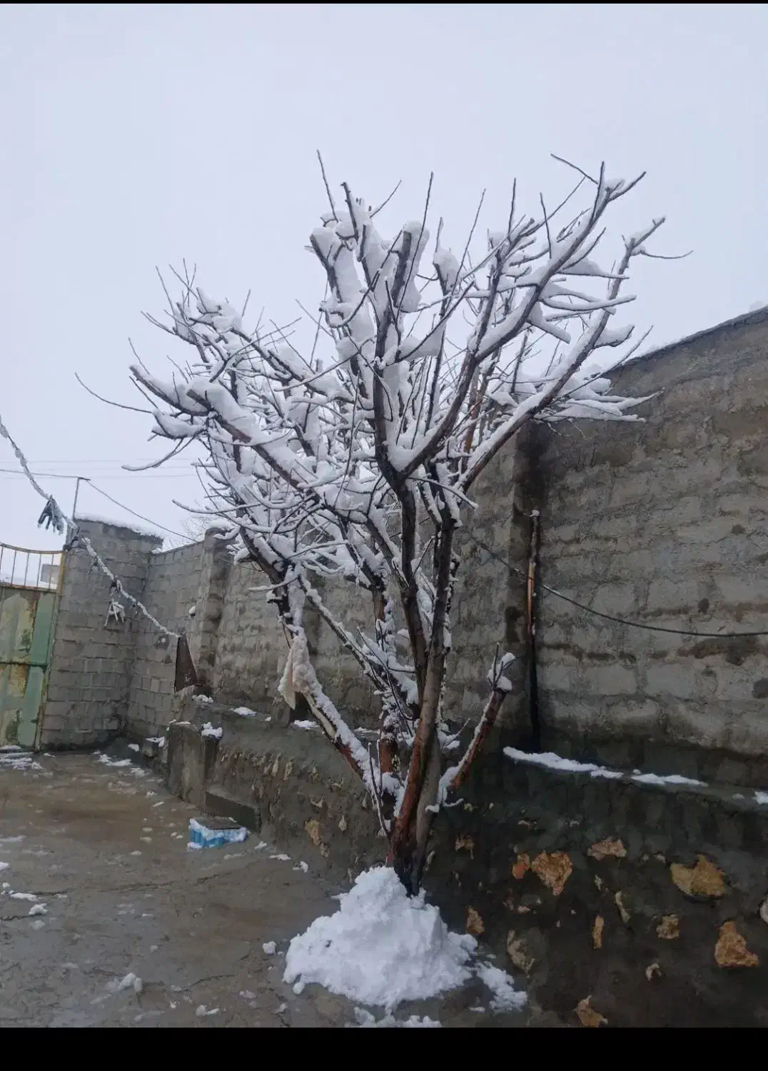 منزل مسکونی