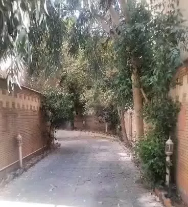 نور و نقشه بی نظیر