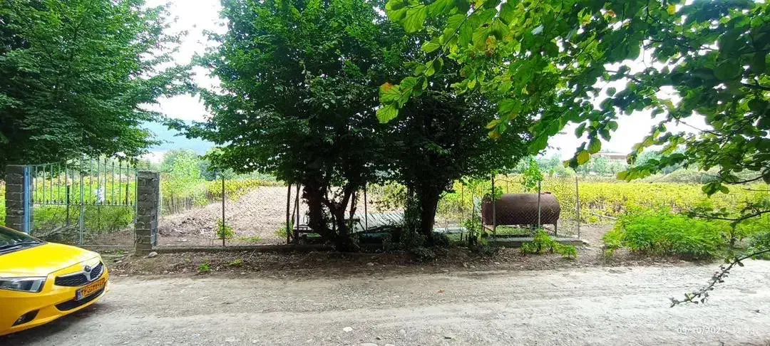 زمین زیبا در روستای واستان