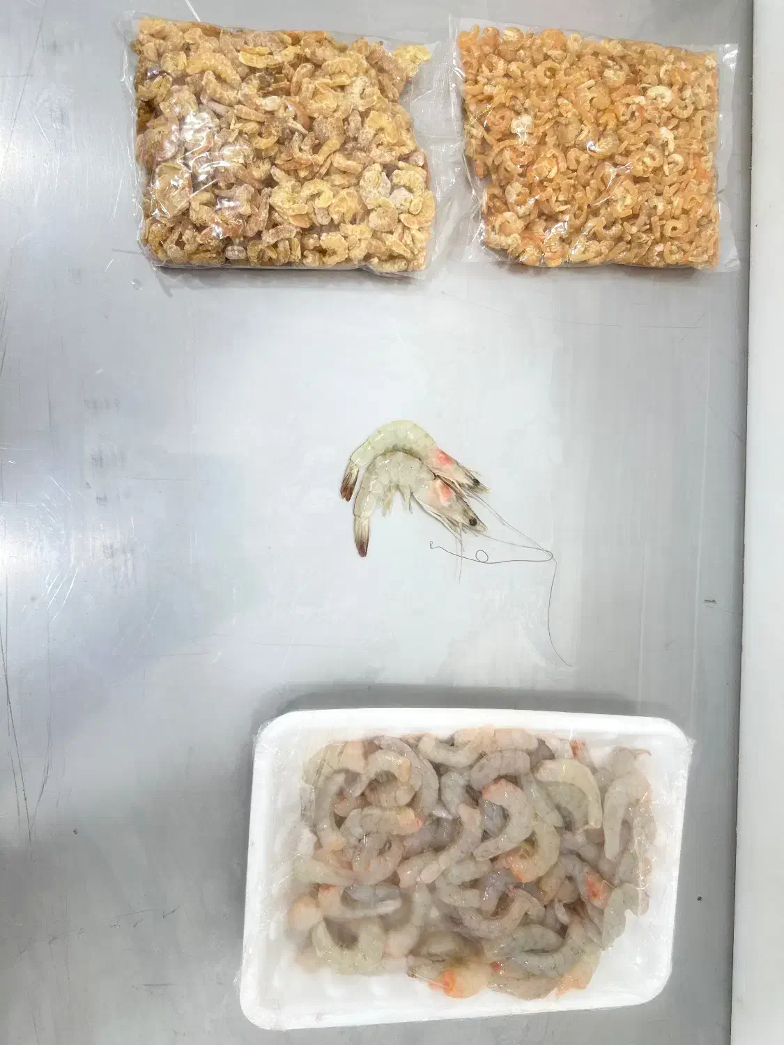 واگذاری مغازه ماهی فروشی