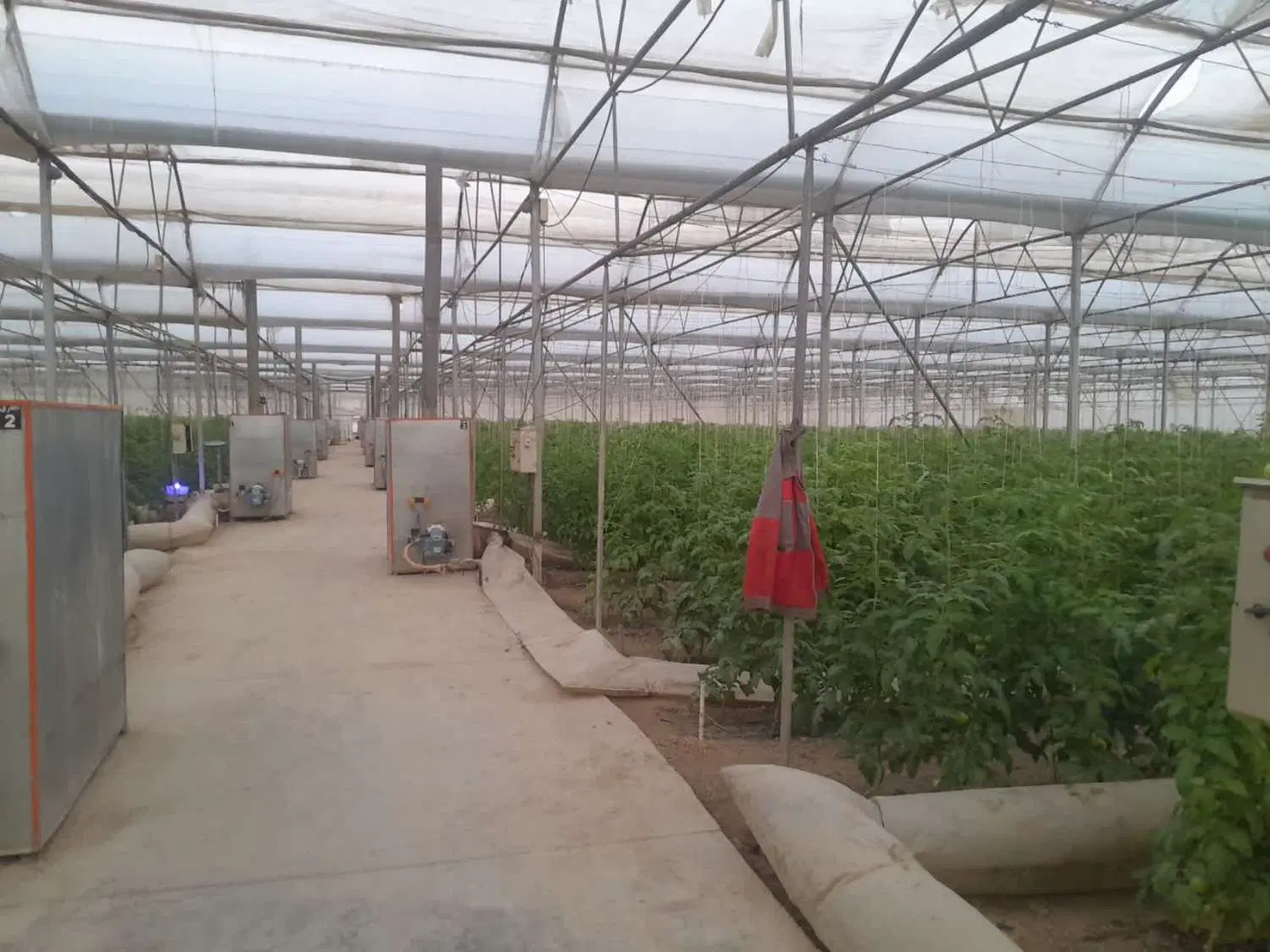 آگهی فروش گلخانه