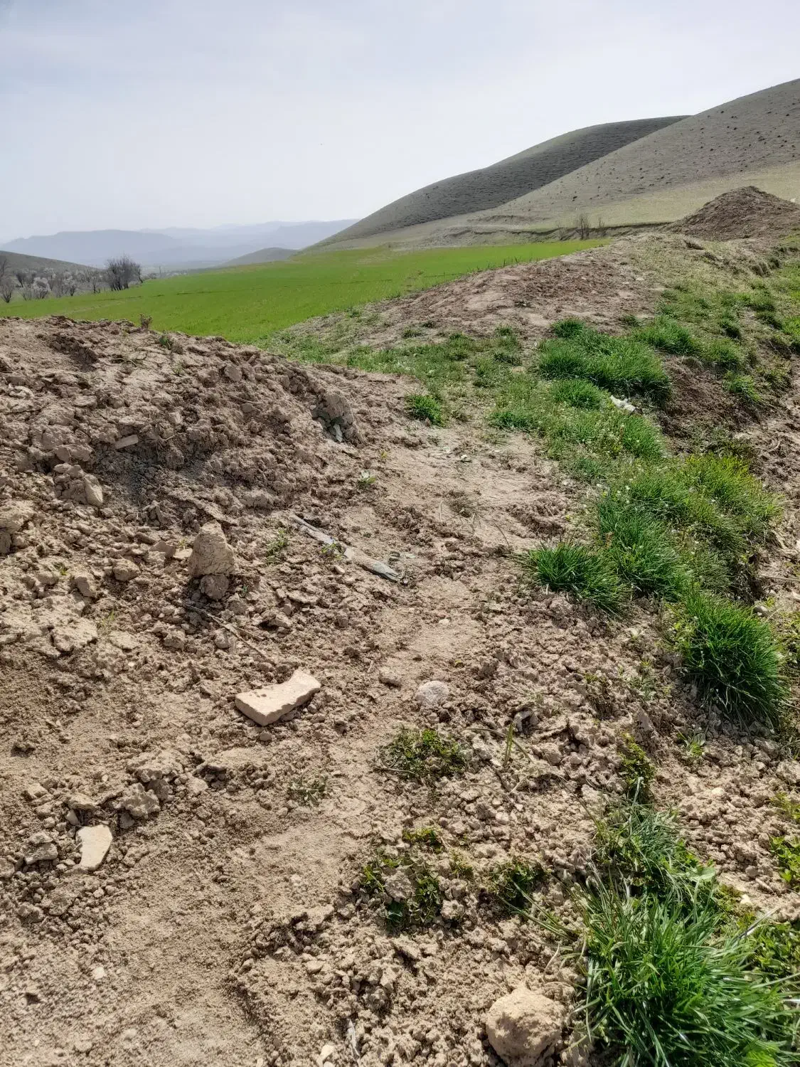 زمین دامداری به متراژ ۵۵۰ متر جاده مامالو