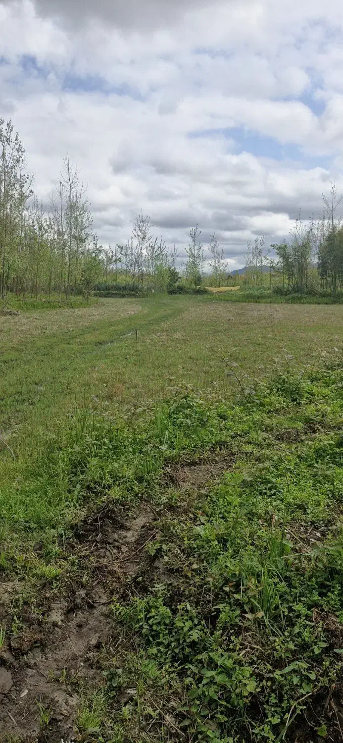 زمین واقع در روستای امامده