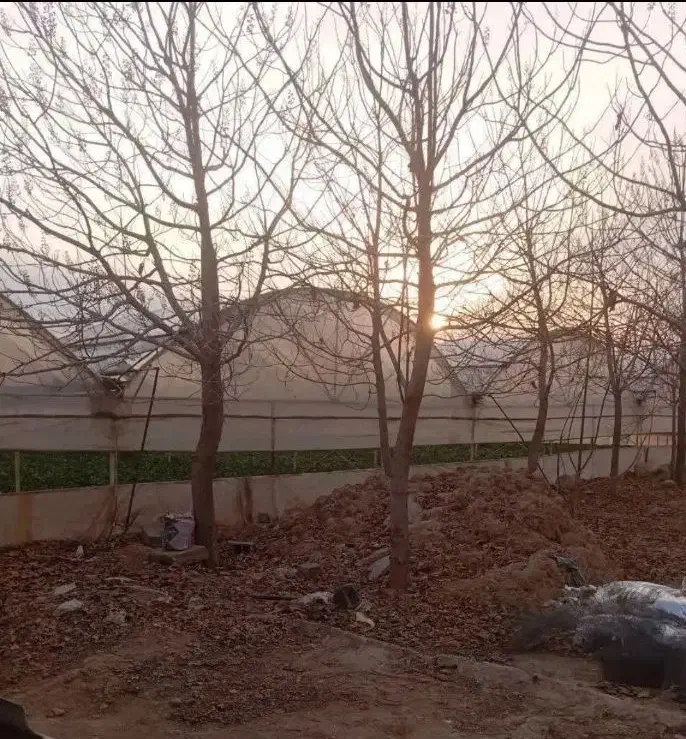 زمین ۱۰۰۰ متری دارای مجوز گلخانه شهرری گلحصار