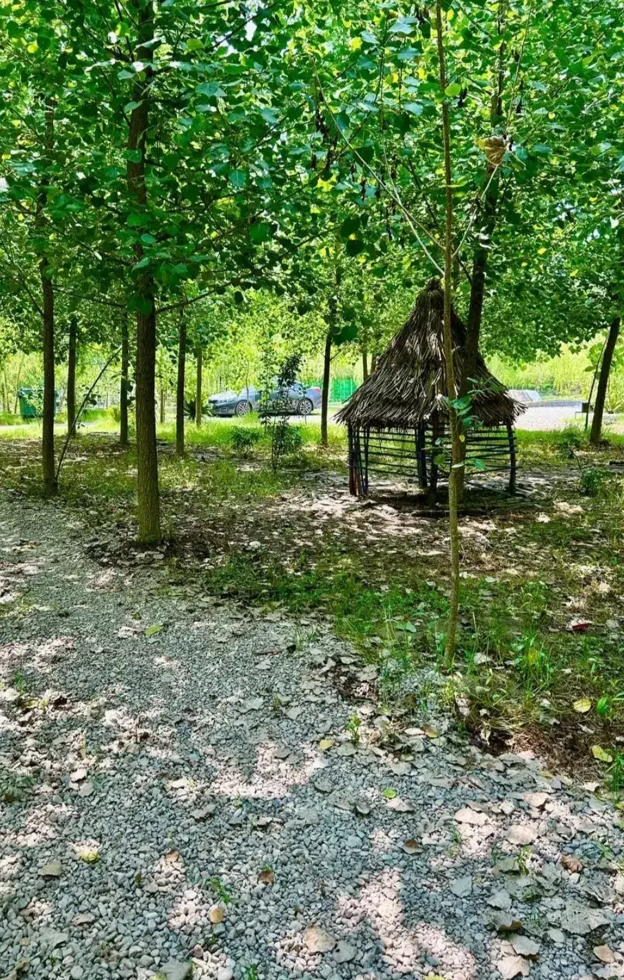 ترکیبی از هنر معماری و ارزش سرمایه گذاری