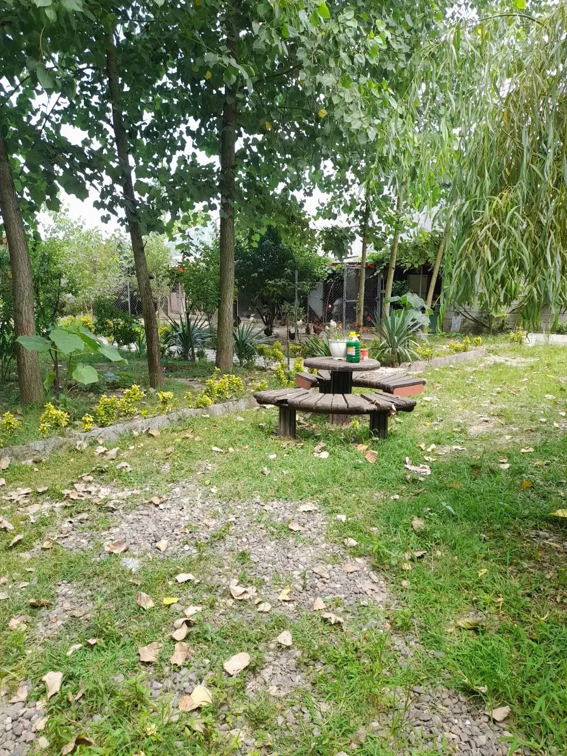 اجاره روزانه ویلا ۱۰۰۰متری فقط ۱۲۰۰