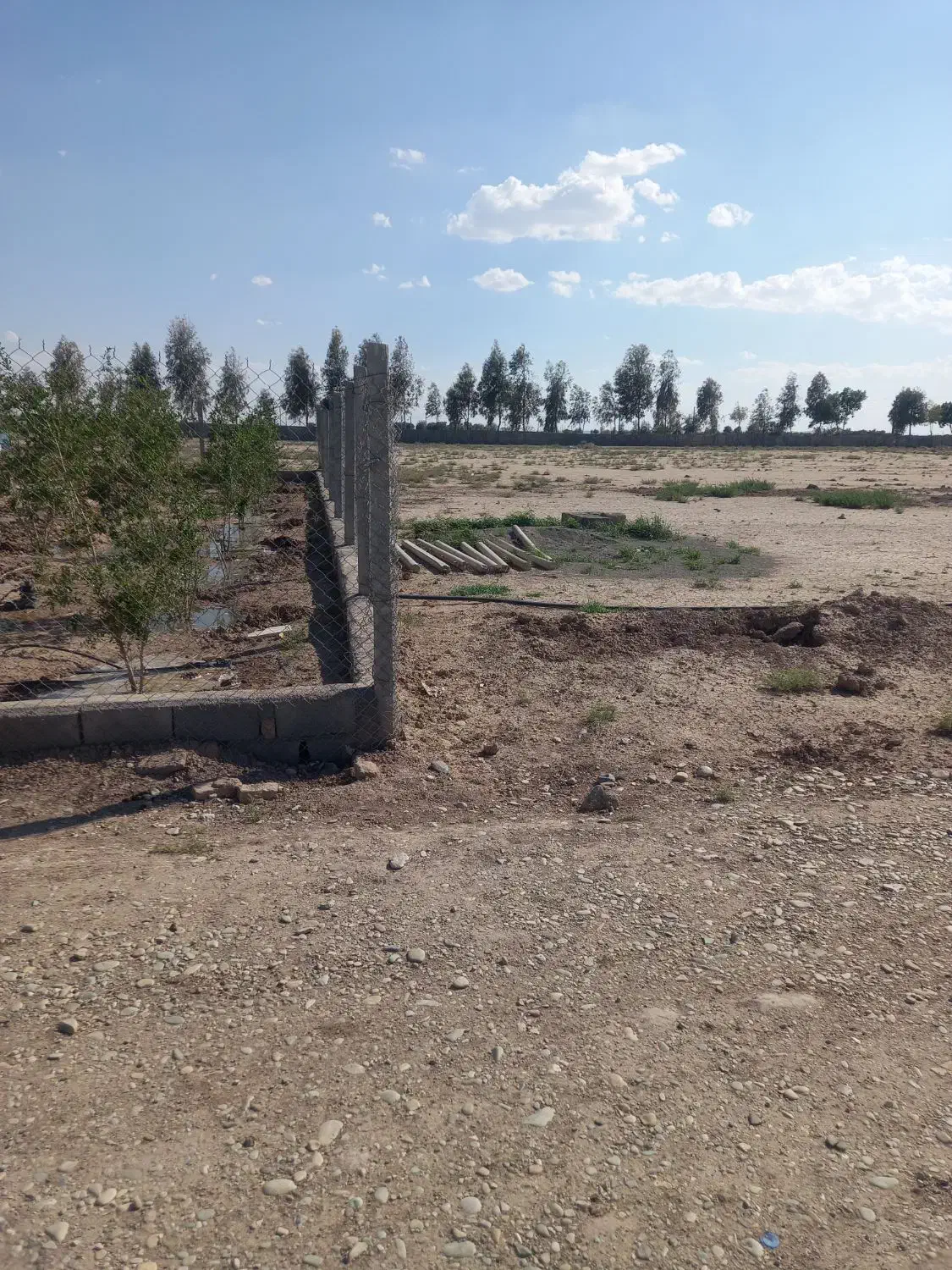 زمین باغچه ای
