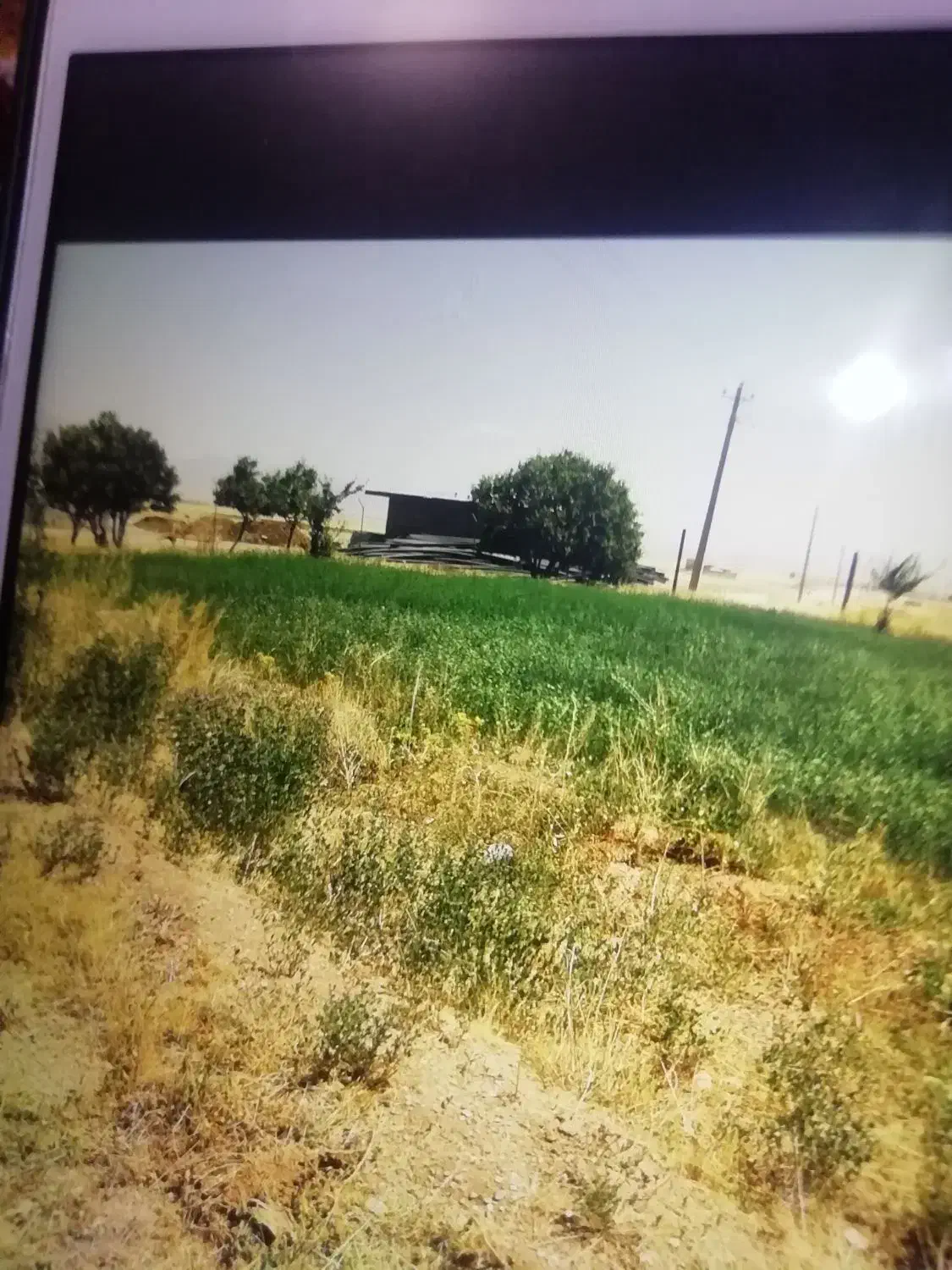 سهام شرکت کوثر