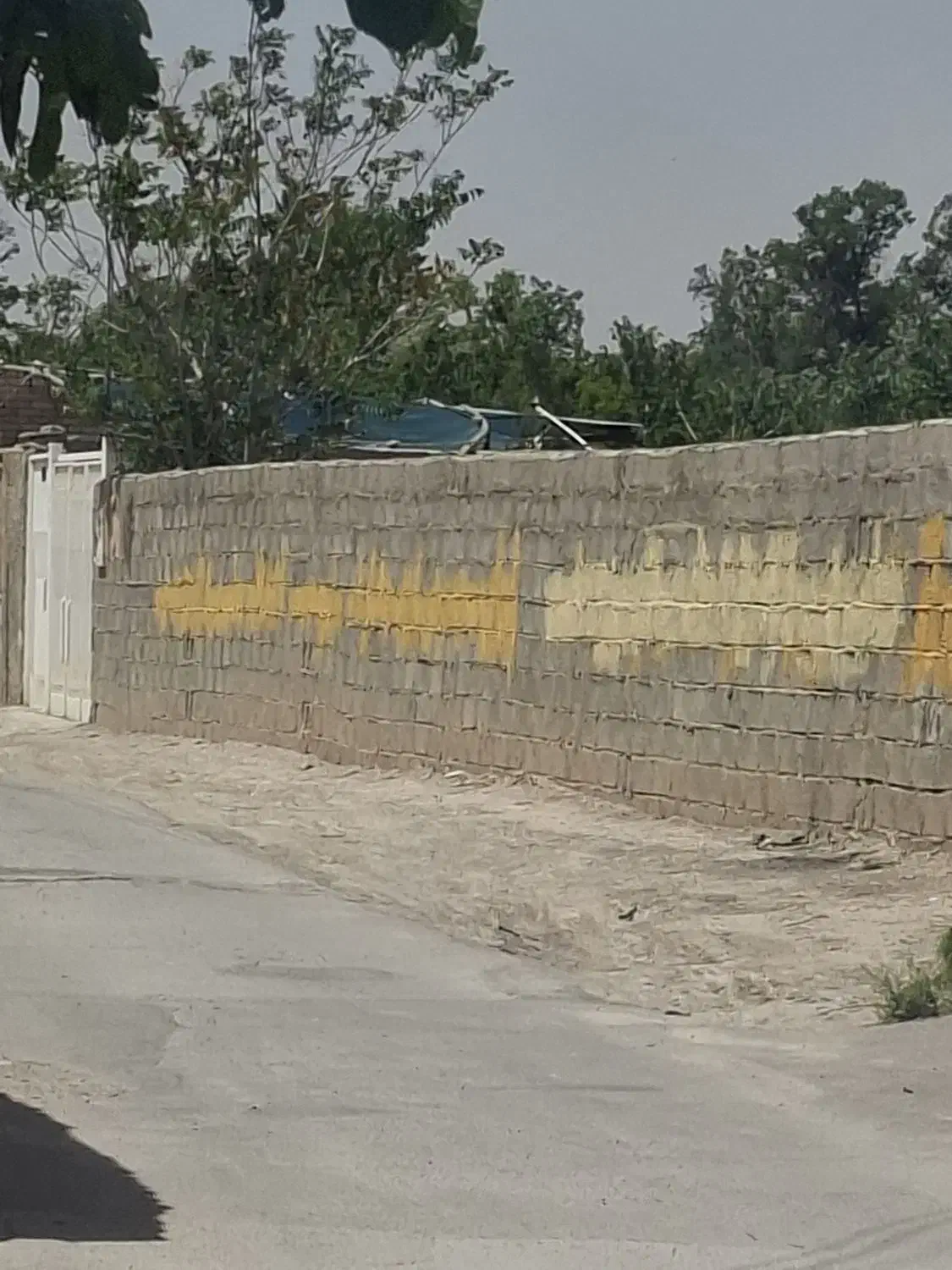 باغ