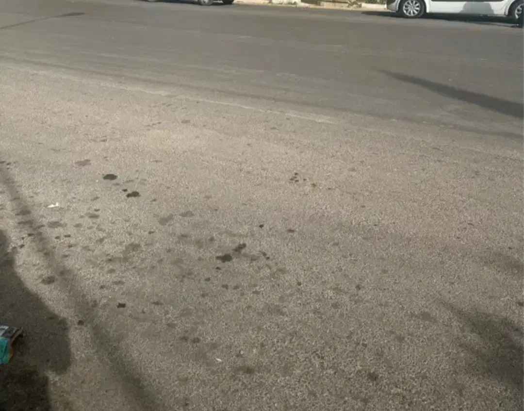 زمین در شهرک گلستان