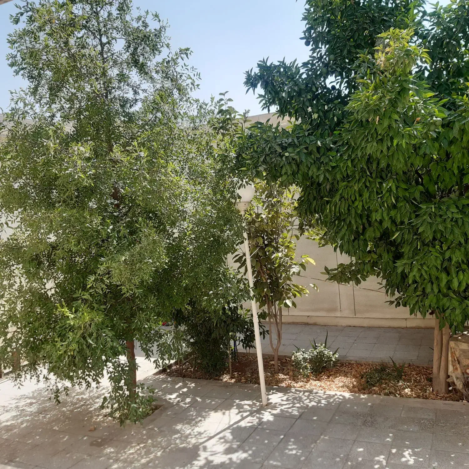 ویلایی دربست فول امکانات کوچه ادیب