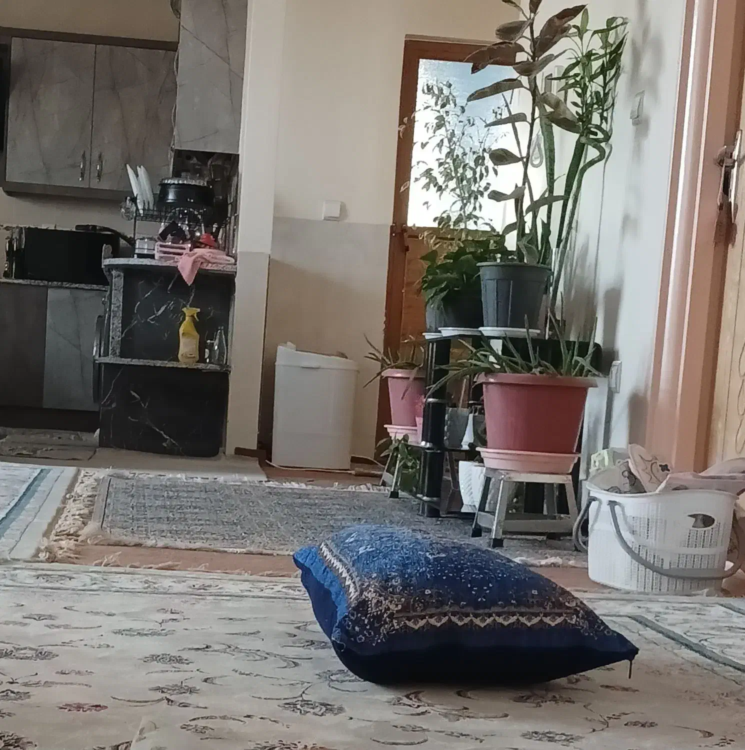 اجاره مسکونی