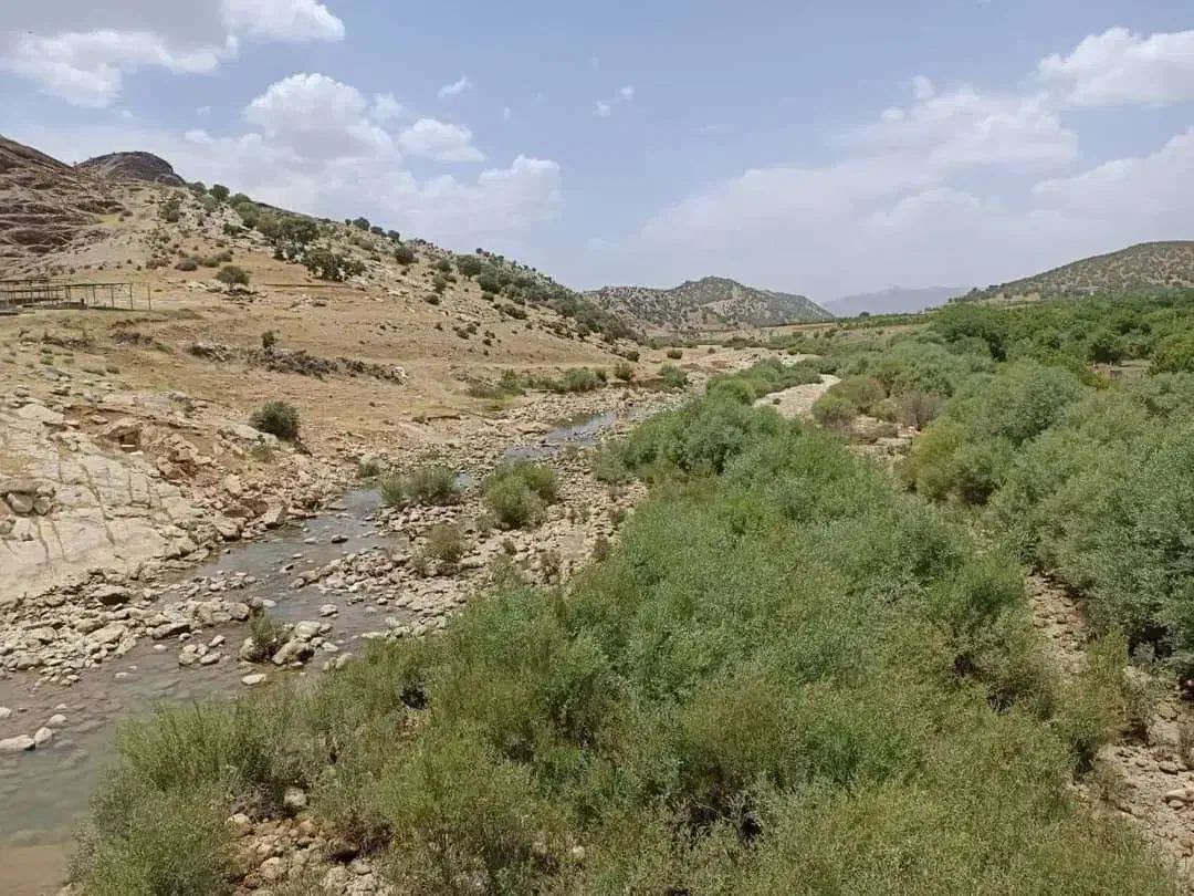 زمین