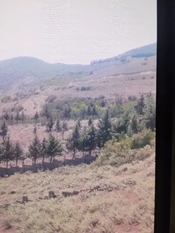 زمین کشاورزی در طالقان. جهت باغچه یا پرورش شترمرغ