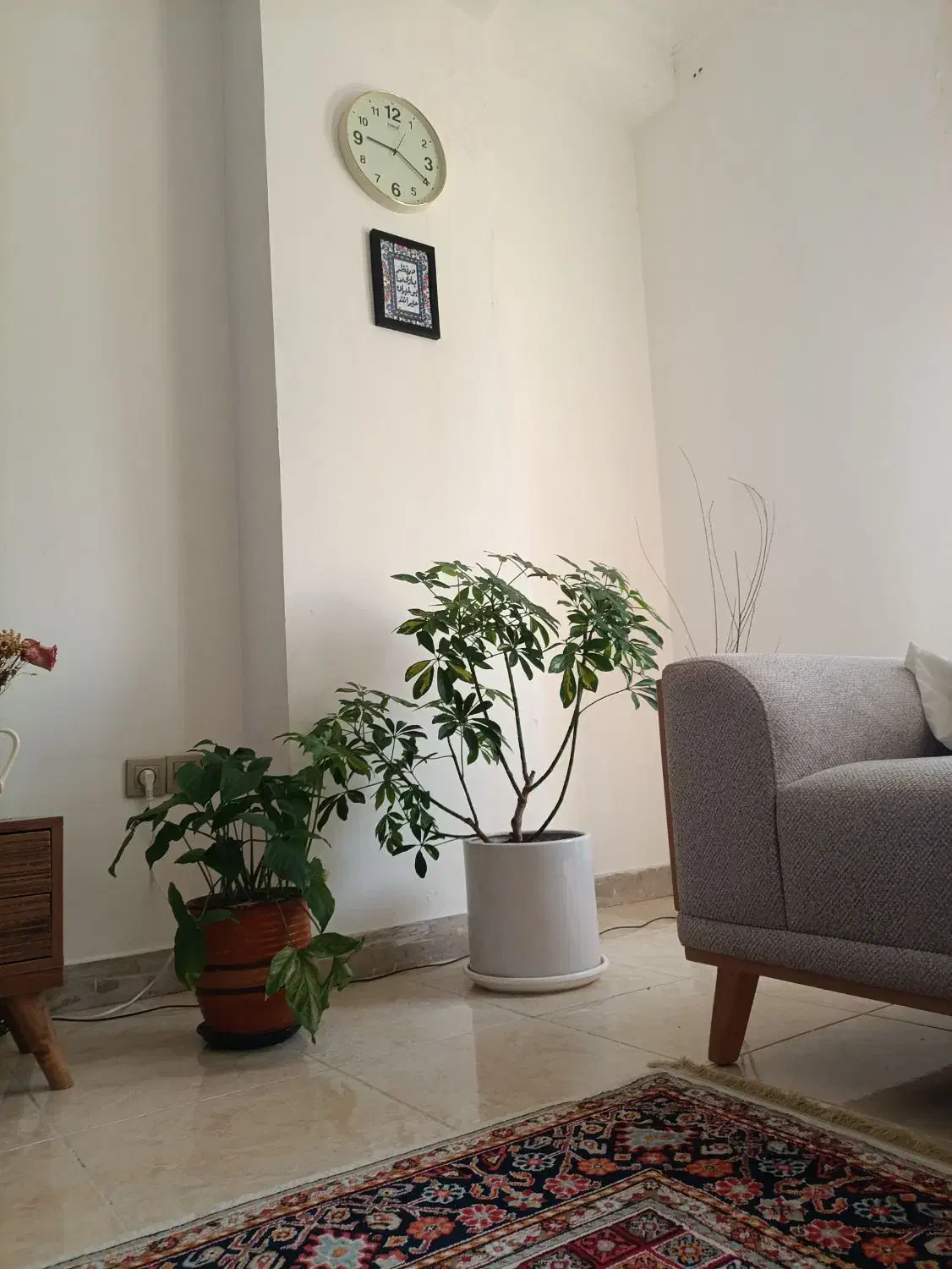 رهن و اجاره مسکن مهر( خانه طلایی)