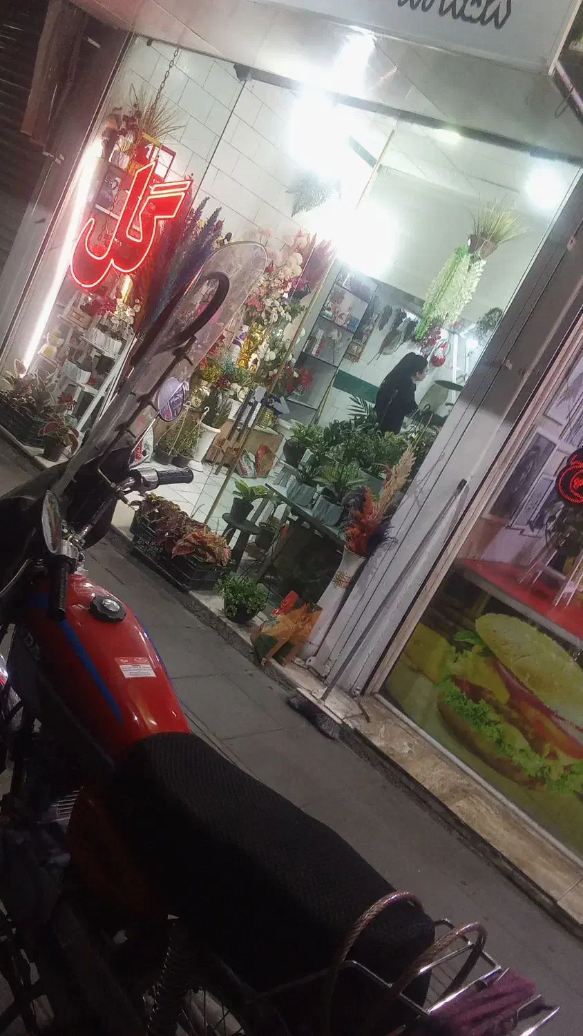 هم خانه هم خونه