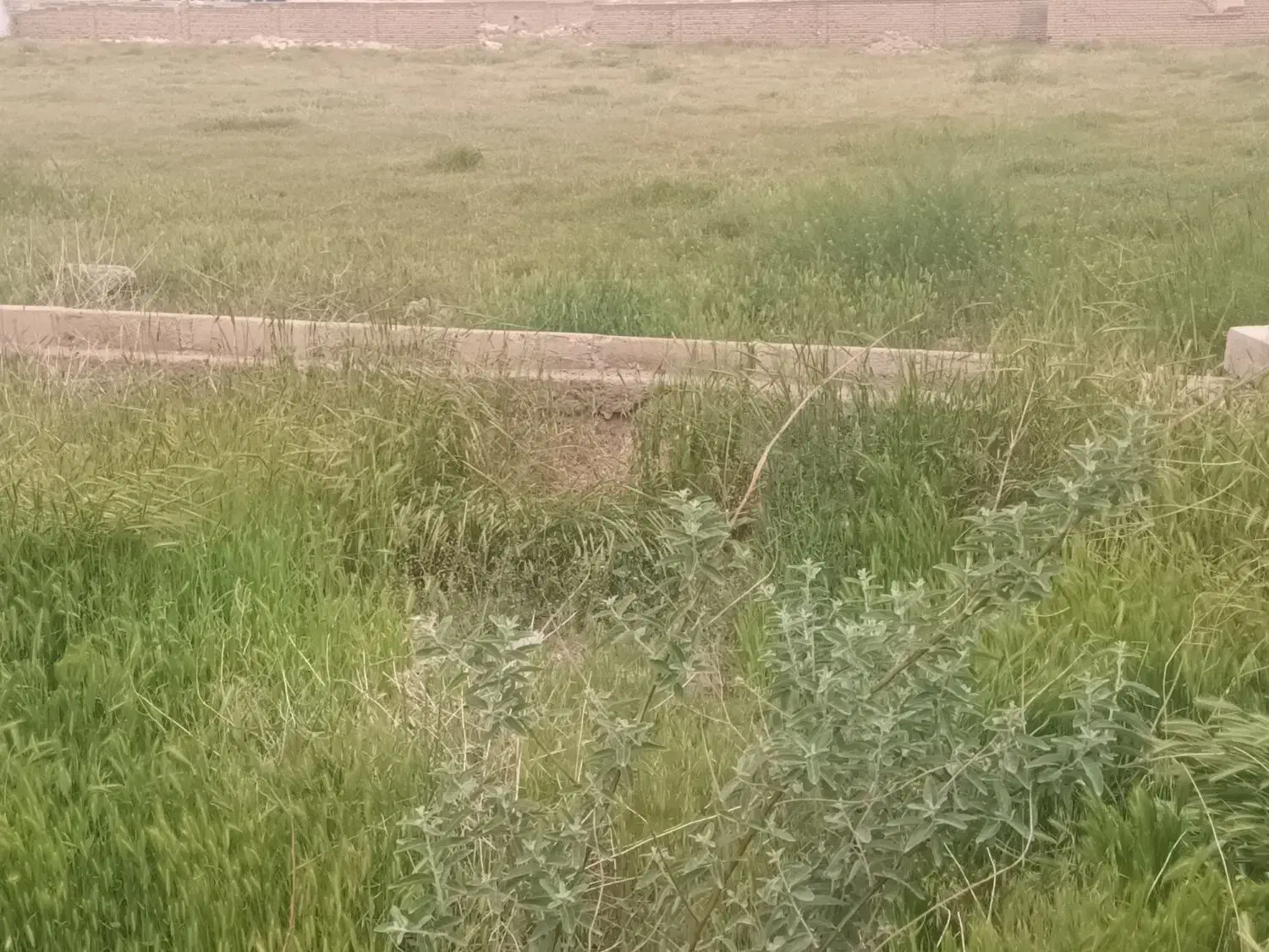 زمین مسکونی و تجاری