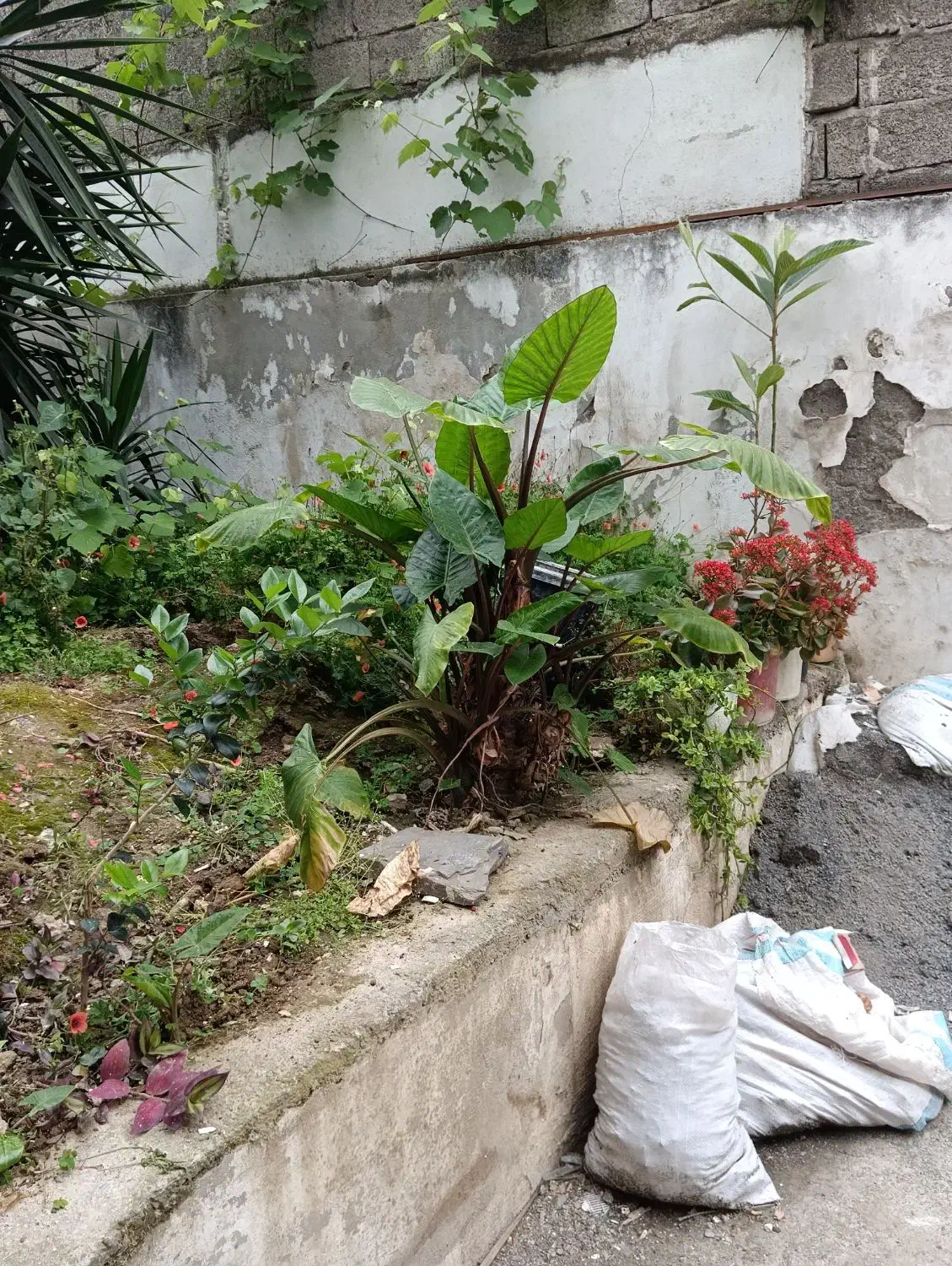 فروش زمین 140متری داخل بافت درمحموداباد