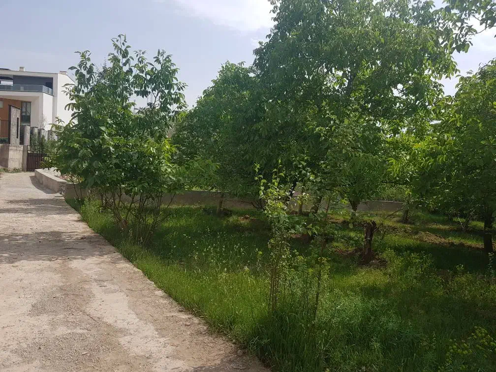 ۸۸۳مترزمین وباغ در لواسان بزرگ سند تک برگ