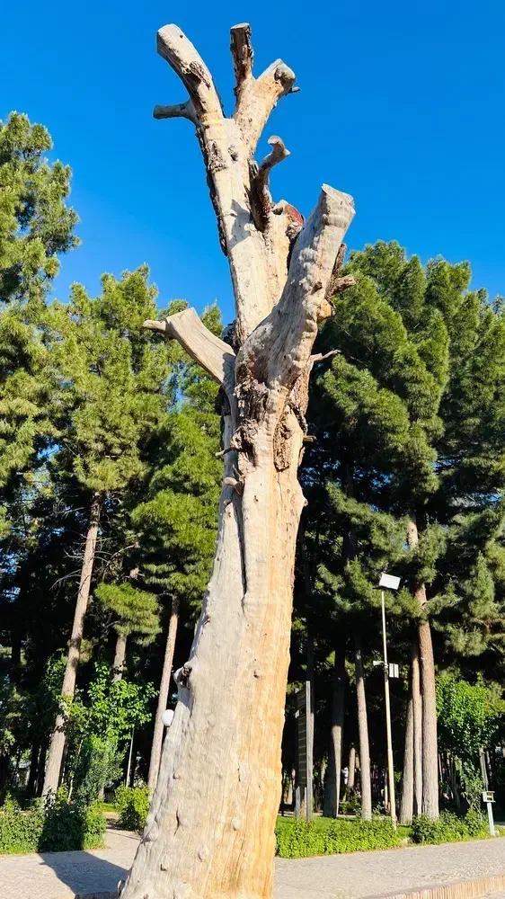 اب کشاورزی