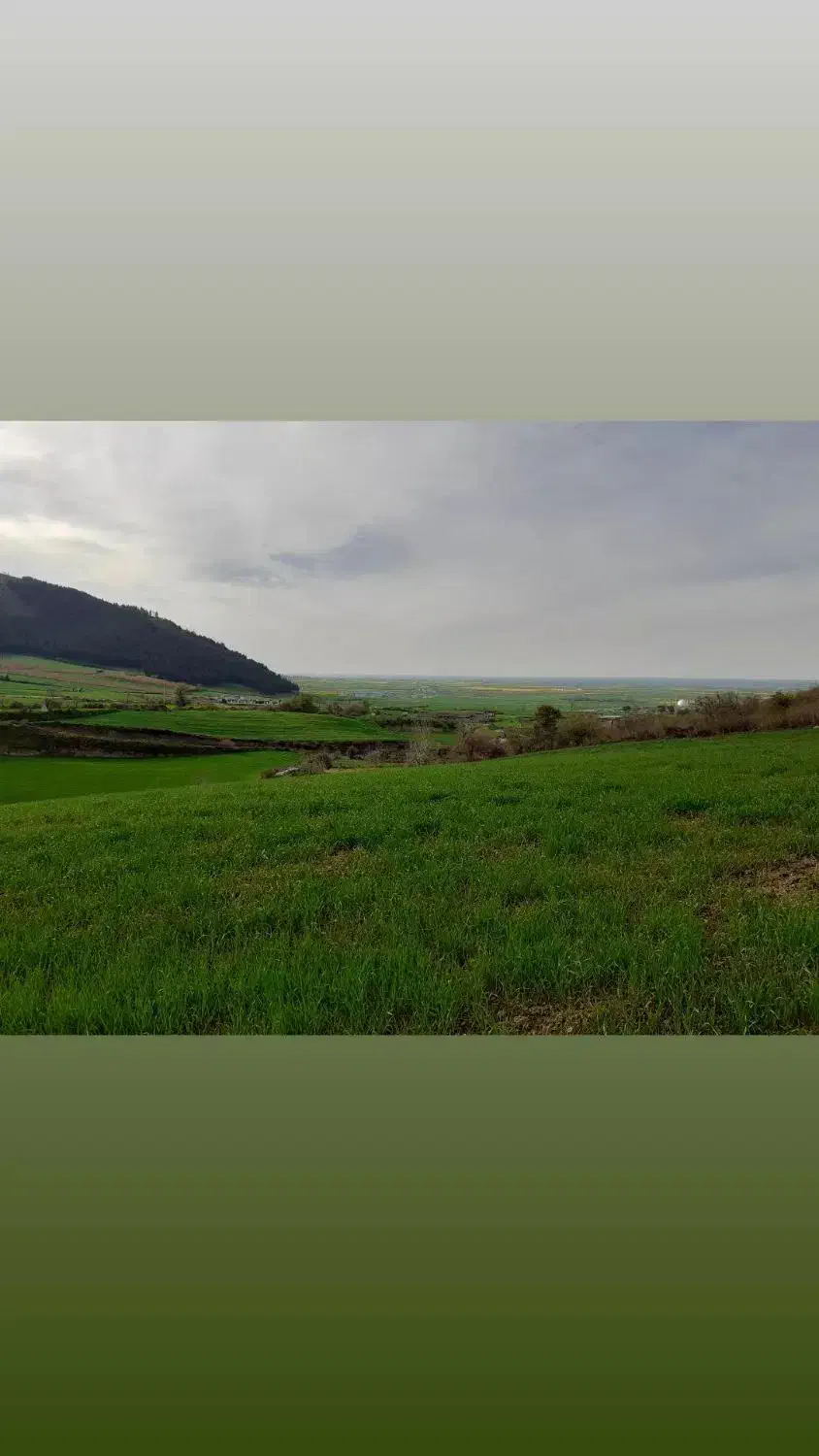 فروش زمین باغی