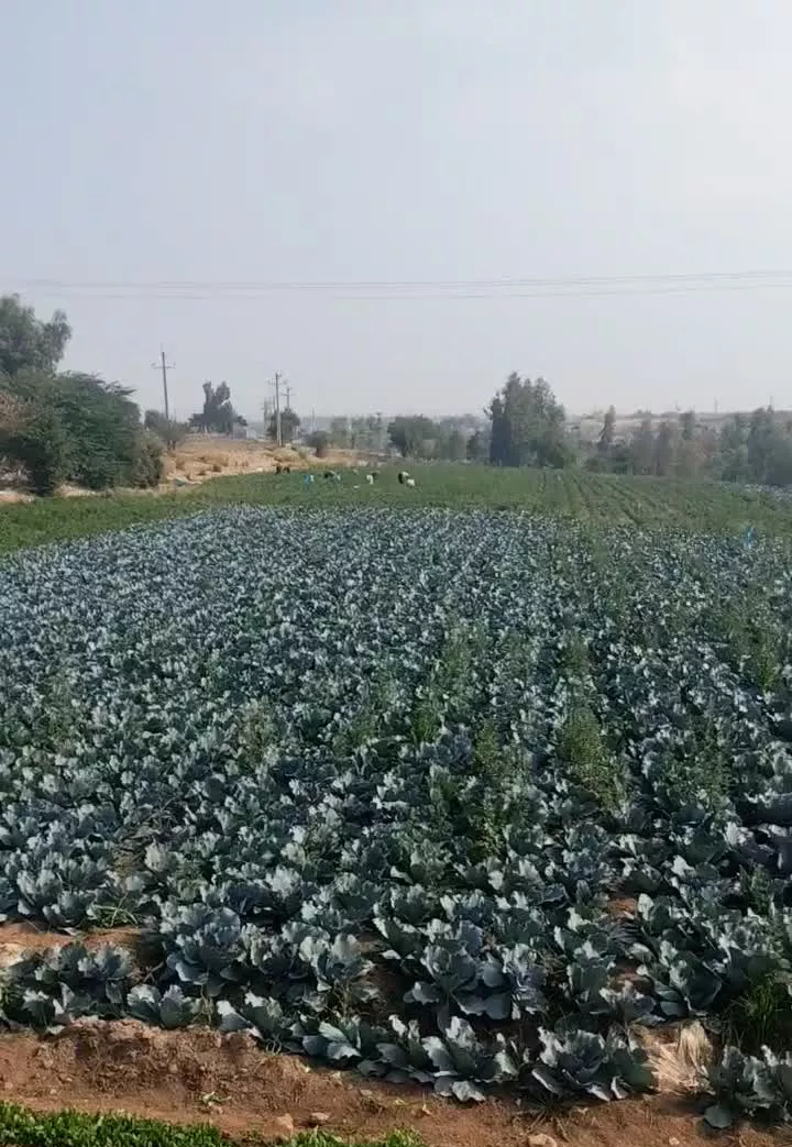 باغ چمگلک