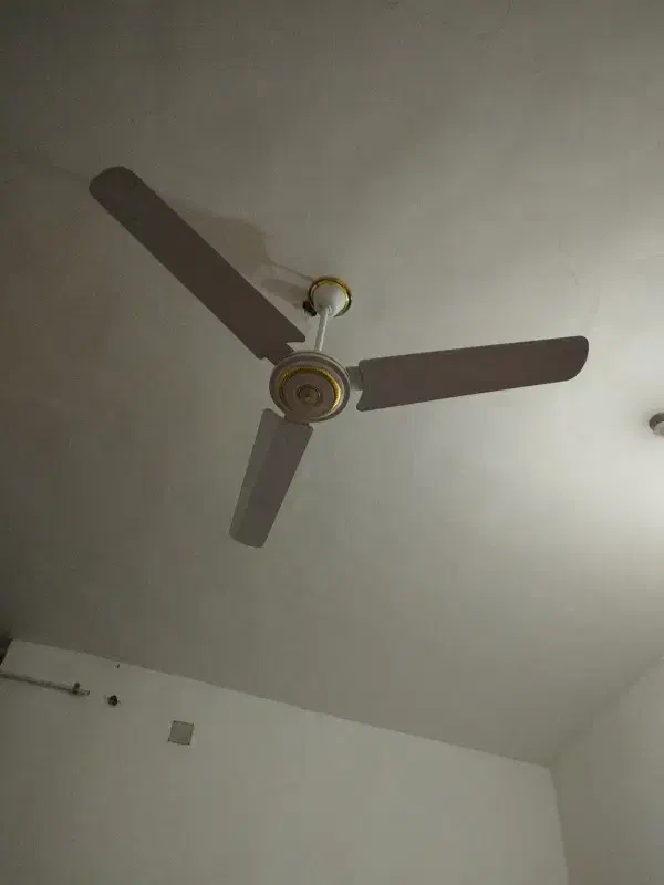 همخونه میشوم