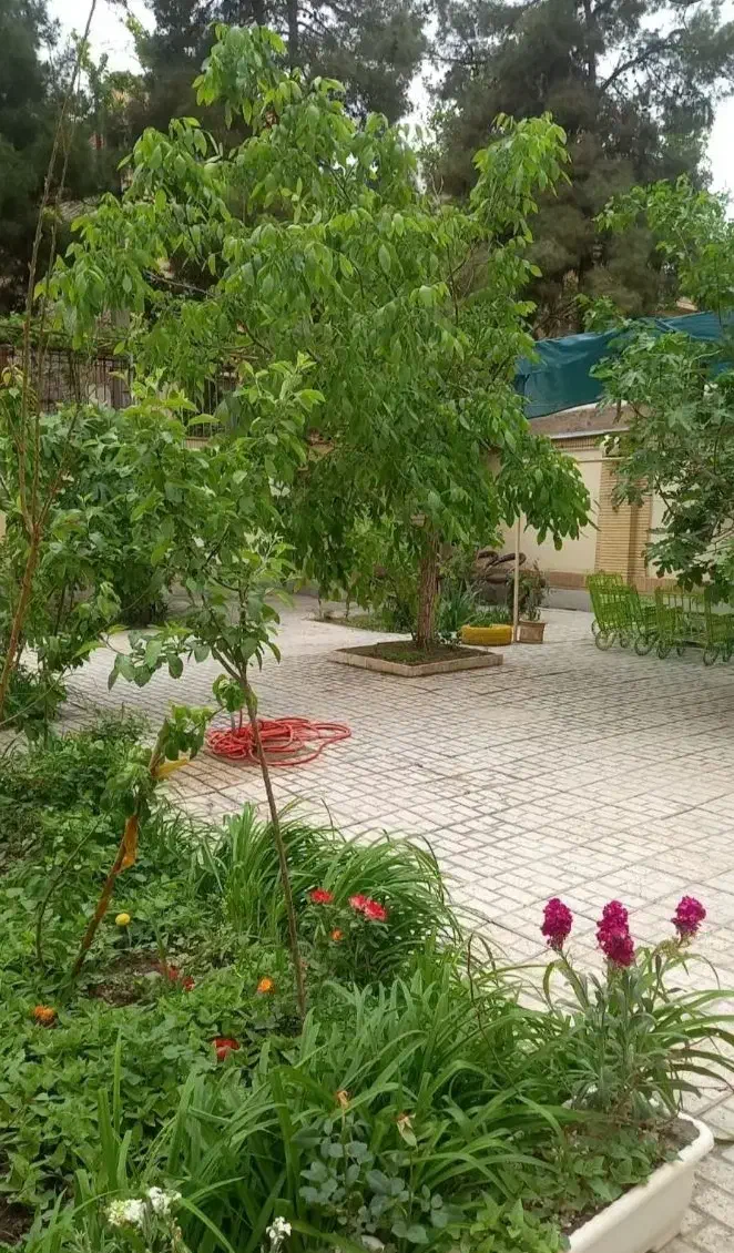 همخونه