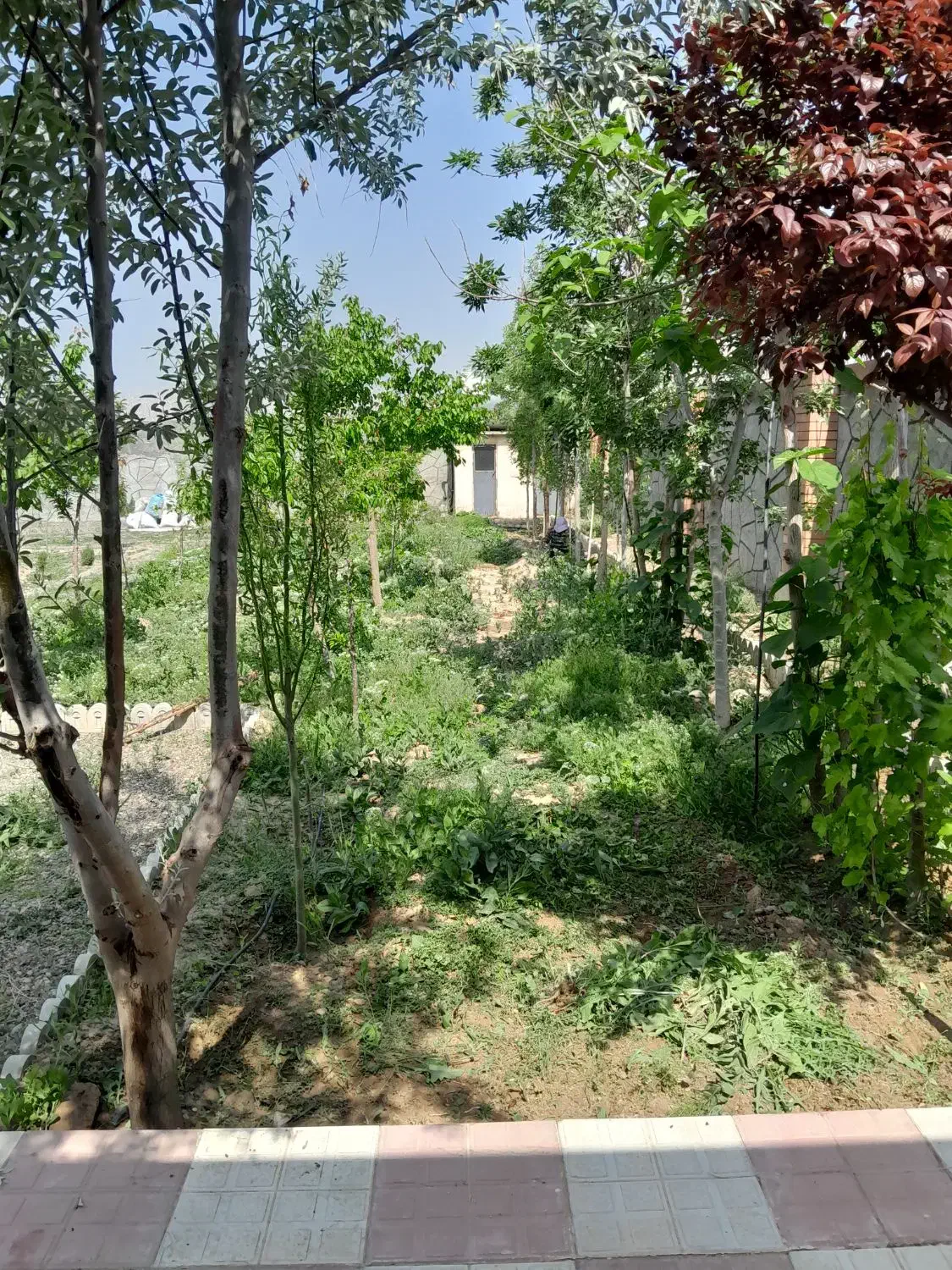 باغ ویلای فروشی شاهنامه ۸۰