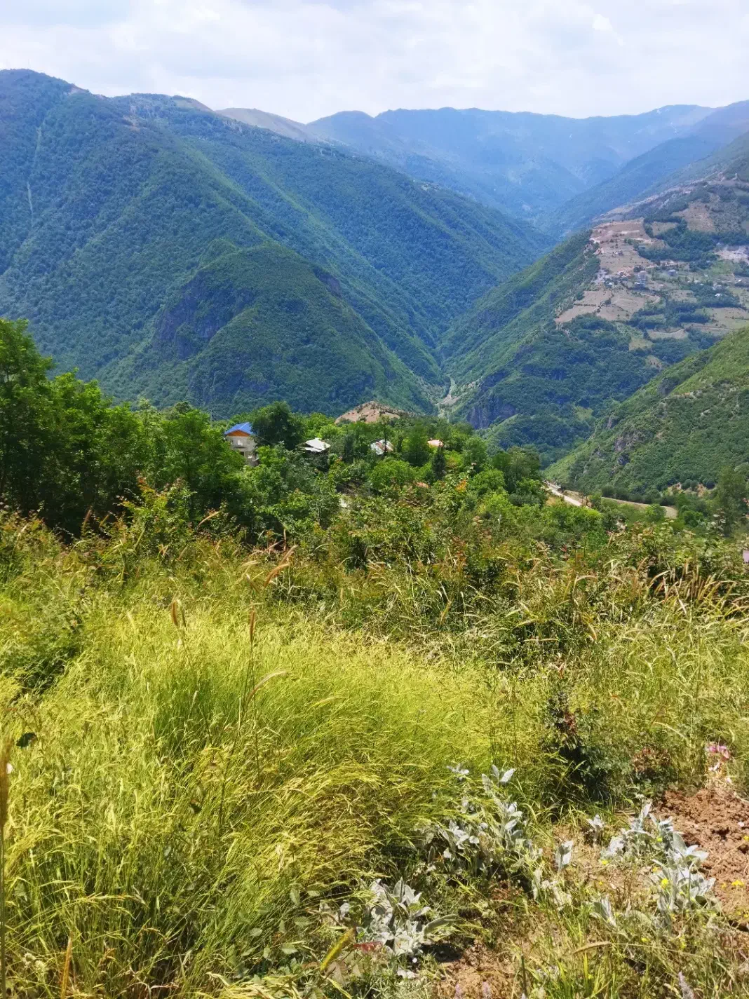 زمین ییلاقی در رامسر