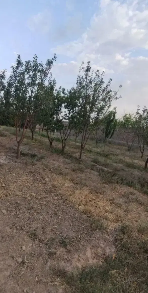 زمین مسکونی طرح هادی