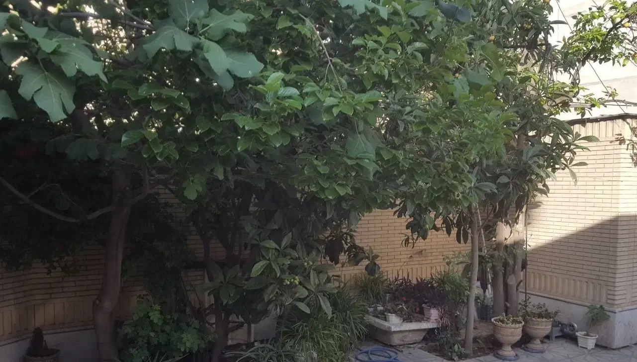 نیازمند هم خانه