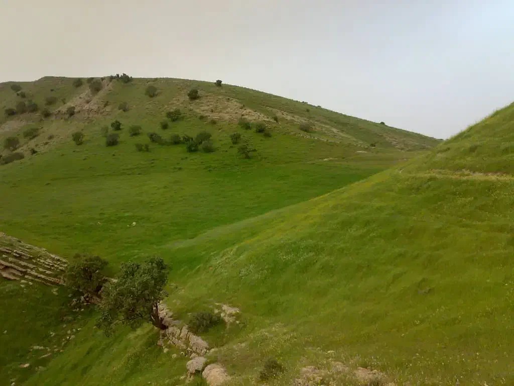 زمین فروشی