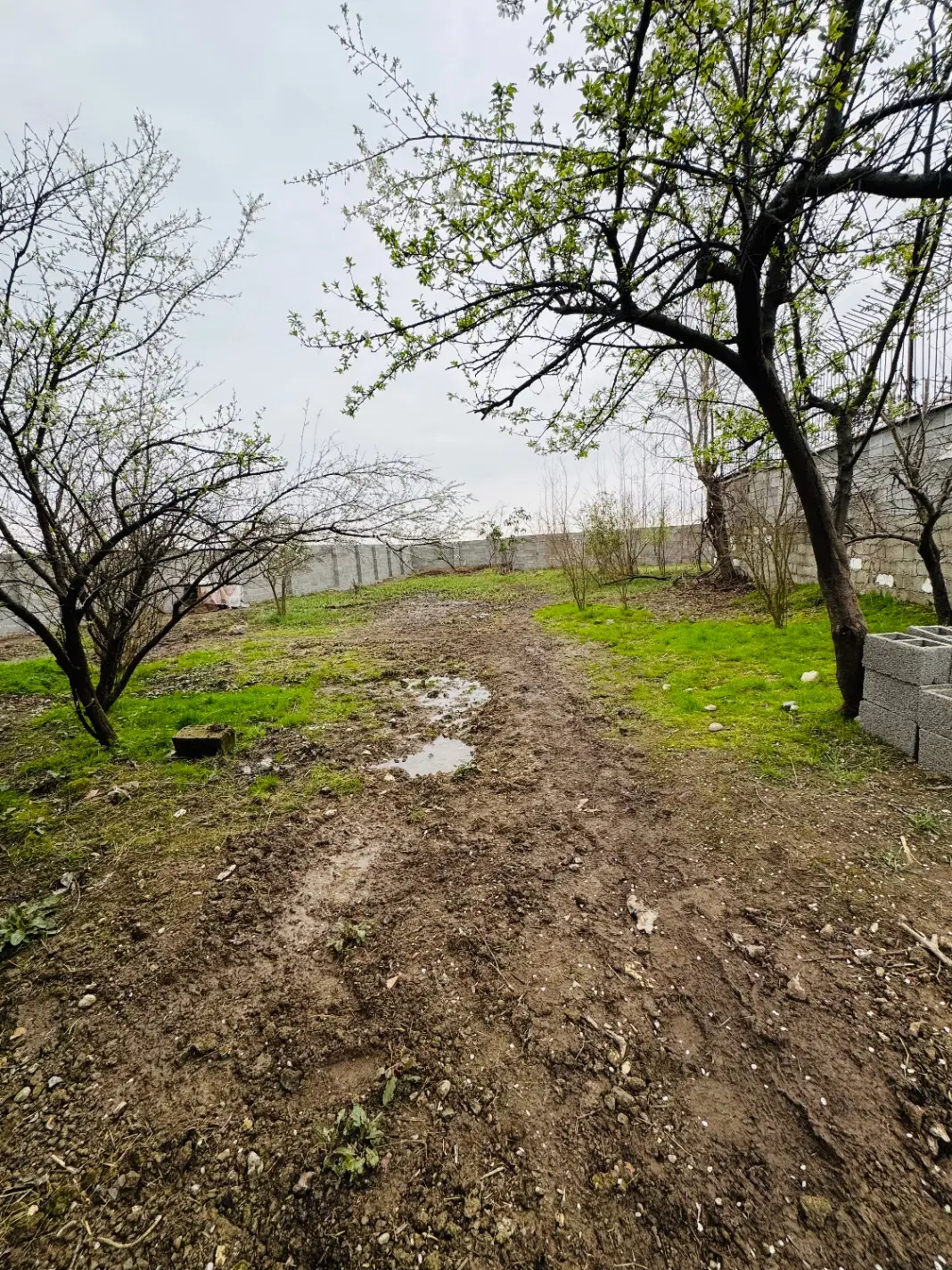 ۱۰۲۴متر زمین مسکونی و خانه محوطه سند تک برگ