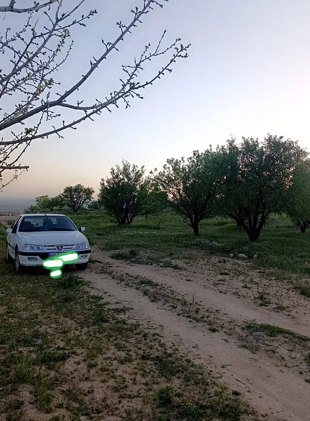 فروش زمین باغ شهری