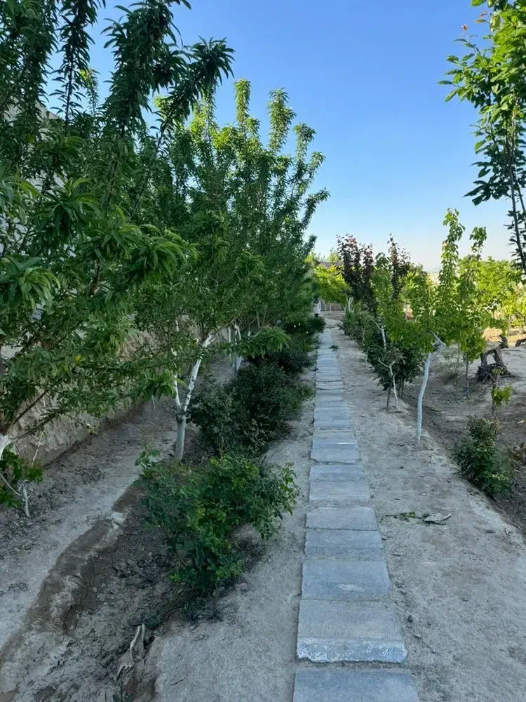 باغ و باغچه