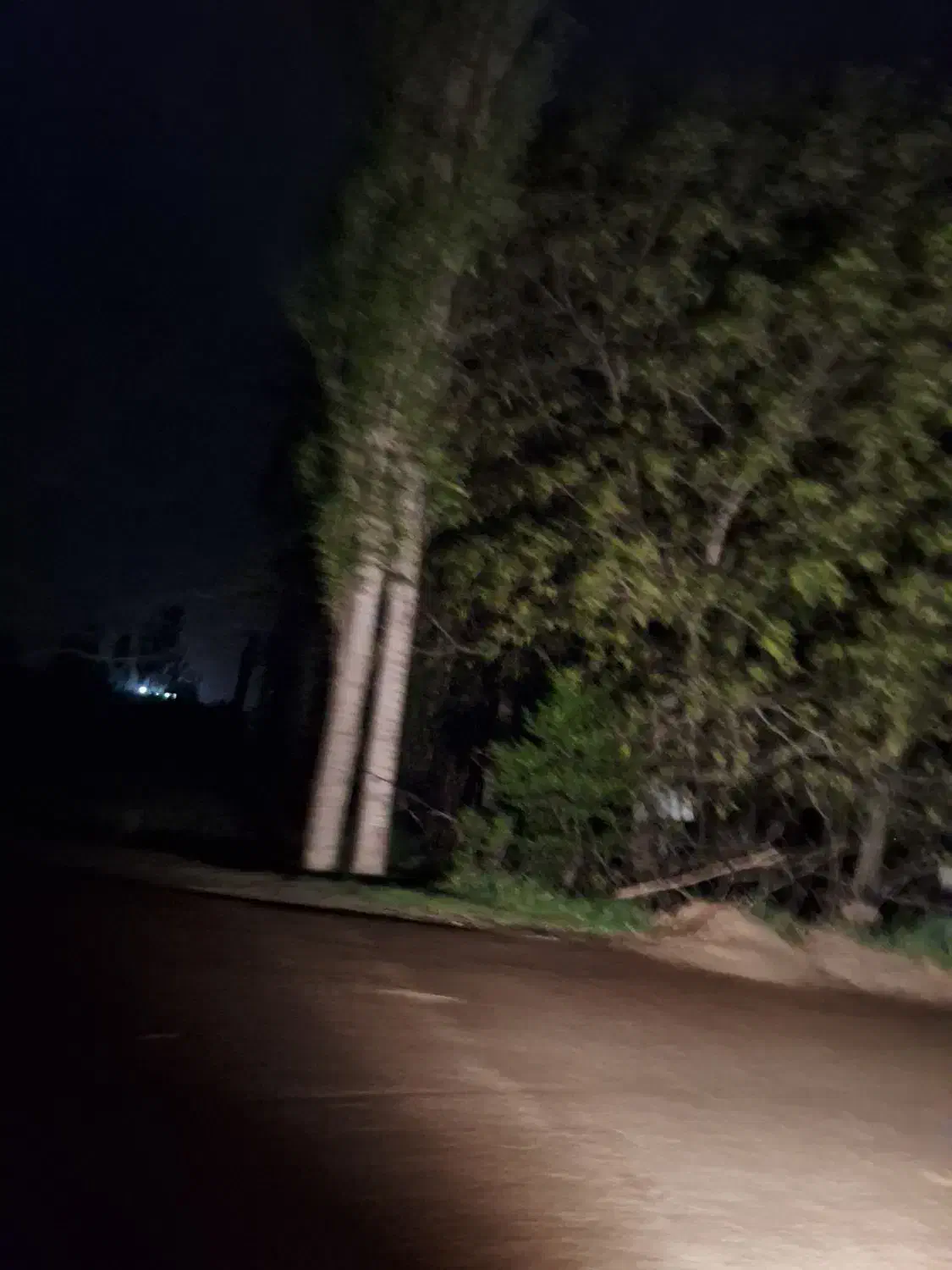 خانه باغ